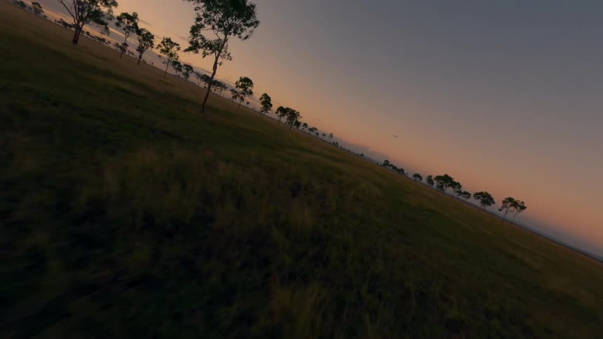 Sun sets over treedotted plain beneath warmtoned sky