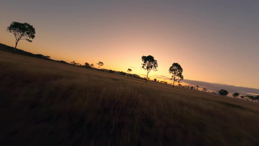 A dramatic sunset illuminates a grassy plain dotted with trees creating an intense colorful sky gradient