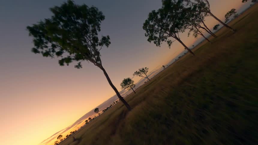Tilted grass field before silhouetted trees under orange evening sky
