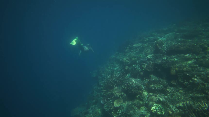 Diver with fins explores coral reef beneath clear waters in vibrant underwater scene