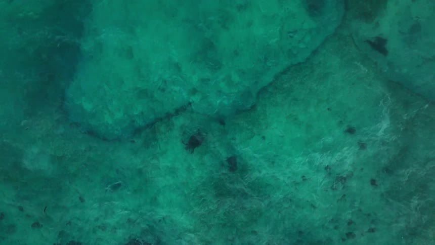 The video is an aerial highangle shot looking straight down into clear turquoise ocean water the distinct color variations indicate shallow areas with rocky or coral patches visible beneath the surface