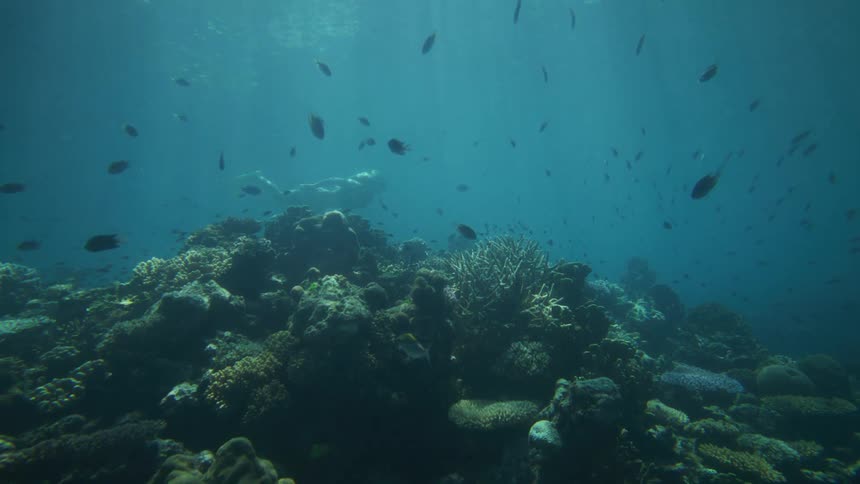 A freediver wearing yellow fins descends into deep blue water near a dark rocky seabed or reef the diver slowly approaches the bottom and turns to swim back toward the surface
