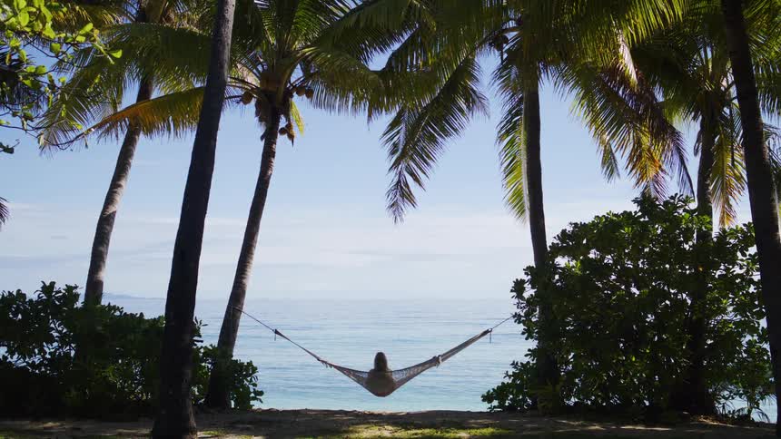 A person is seen relaxing in a hammock strung between a row of tall palm trees on a sunny beach the hammock faces the calm blue ocean under a bright sky creating a peaceful tropical scene