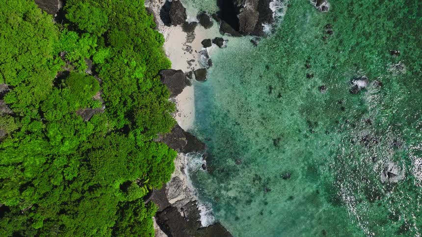 A rocky shoreline meets the ocean as waves crash against it with lush green vegetation lining the coast