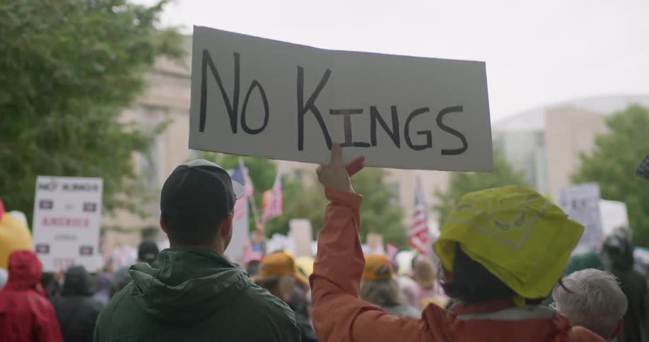 A rearview shot of a protest crowd shows an individual holding a handmade sign with other demonstrators and flags visible as the event takes place near a large official building