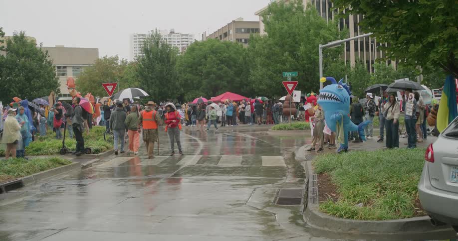 A crowd of people protest in the street at midday holding placards and umbrellas in the rain as the area fills with demonstrators