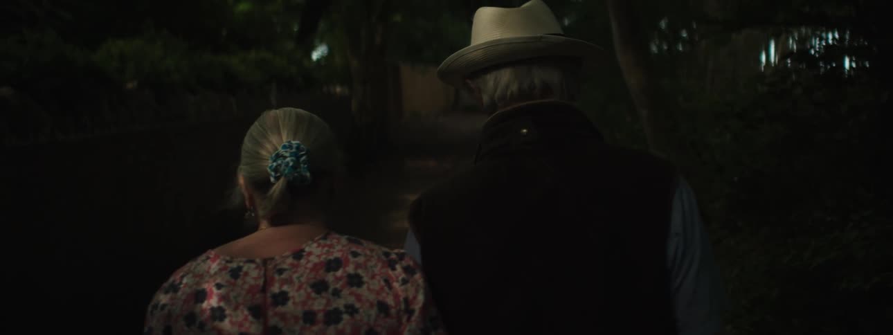 Elderly couple walks side by side along treelined path