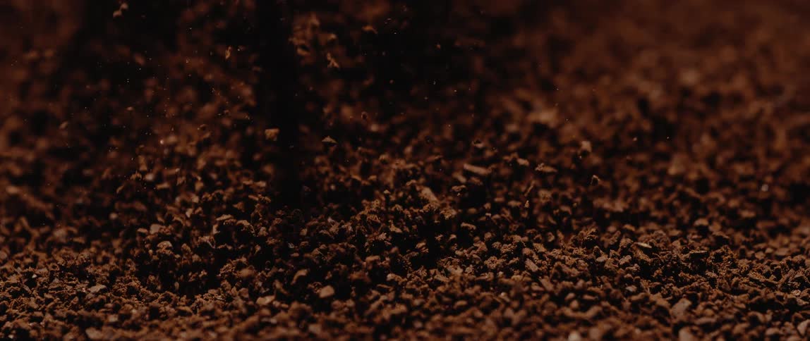 Fine cocoa particles