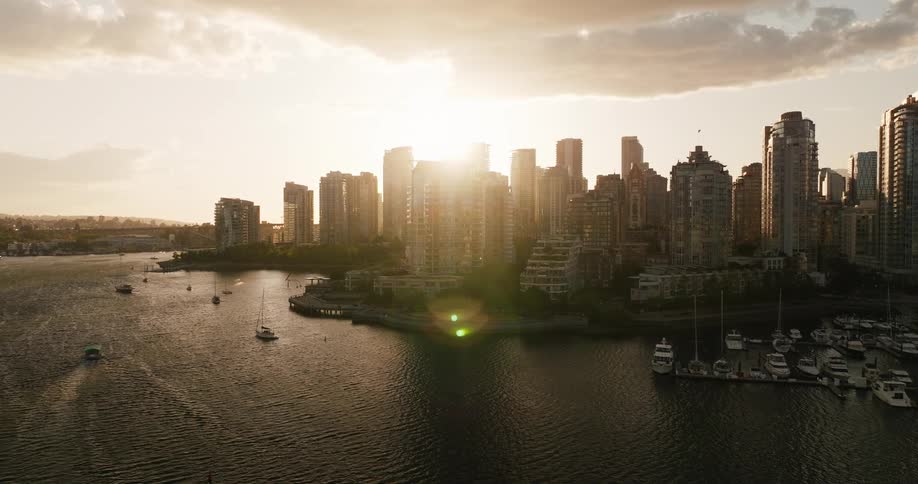 The marina by the large city is full of boats