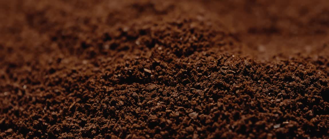 Brown powdery grains in a pile