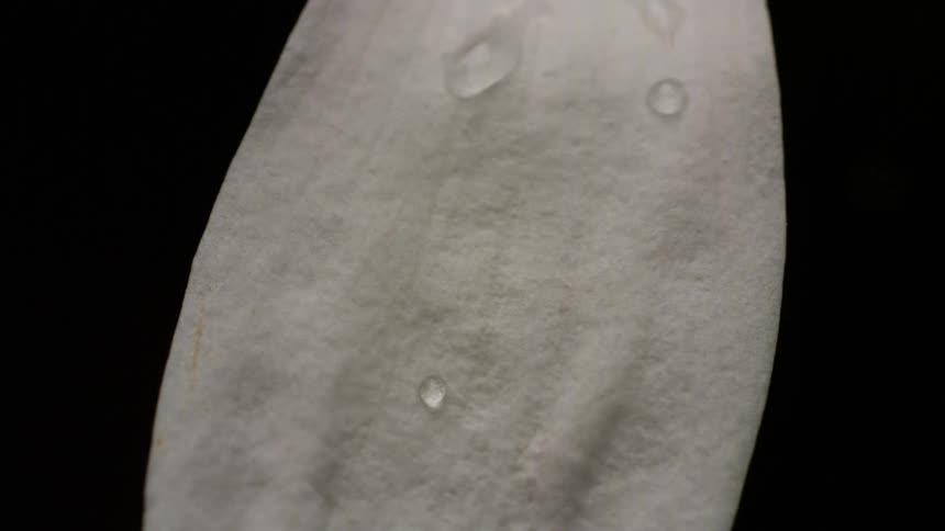 Water drops cling to the surface of a piece of white fabric contrasting with a dark background