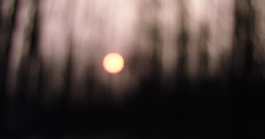 An abstract and blurred shot of the bright orange sun descending between the dark vertical shapes of forest trees
