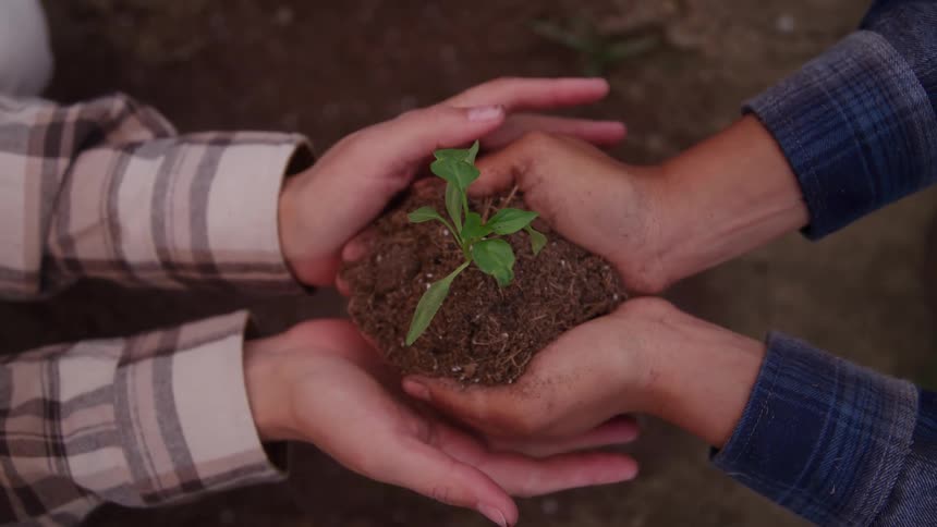 A close view shows two sets of hands gently holding a small green seedling rooted in a clump of dark brown soil