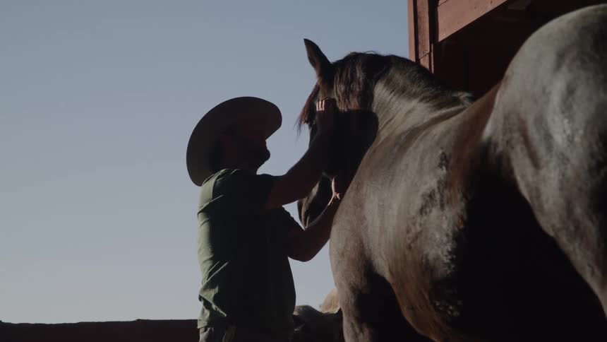 A man wearing a cowboy hat is silhouetted against bright light from an open barn doorway as he stands beside a large darkcolored horse and attends to its head and neck