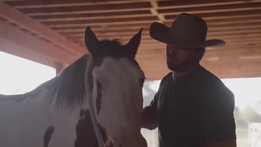 A man in a hat is petting a horse with white and brown fur and a rope near its neck