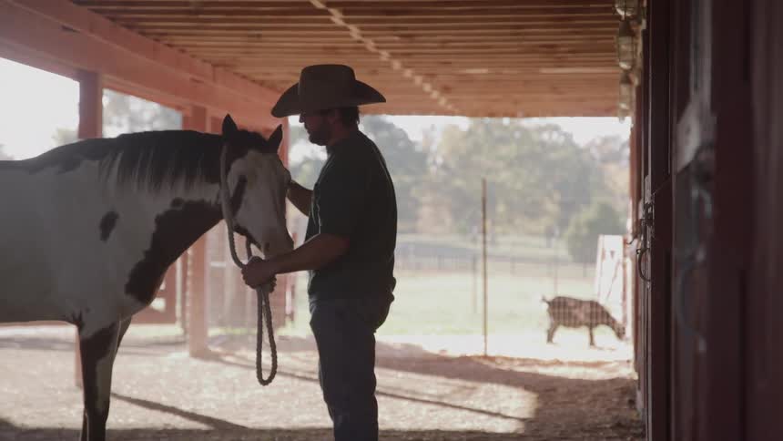 A man gently touches and grooms a brown and white horse inside a barn