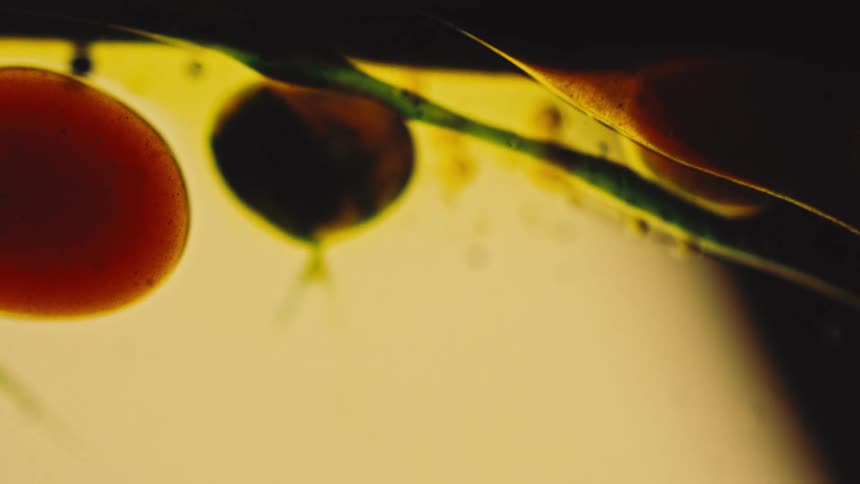Bubbles in the liquid float up