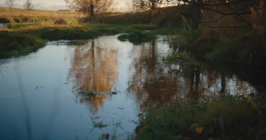 A narrow still stream reflects the autumnal colors of the surrounding trees and the warm glow of the late afternoon sunthe banks are covered in damp lush green and brown grass creating a peaceful and moody rural landscape