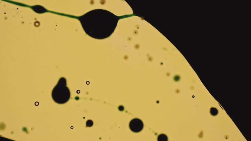 A macro abstract view shows dark black and small green circular drops moving across a bright yellow fluid surface against a black background