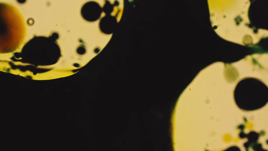 Dark circular shapes floating in yellowish background