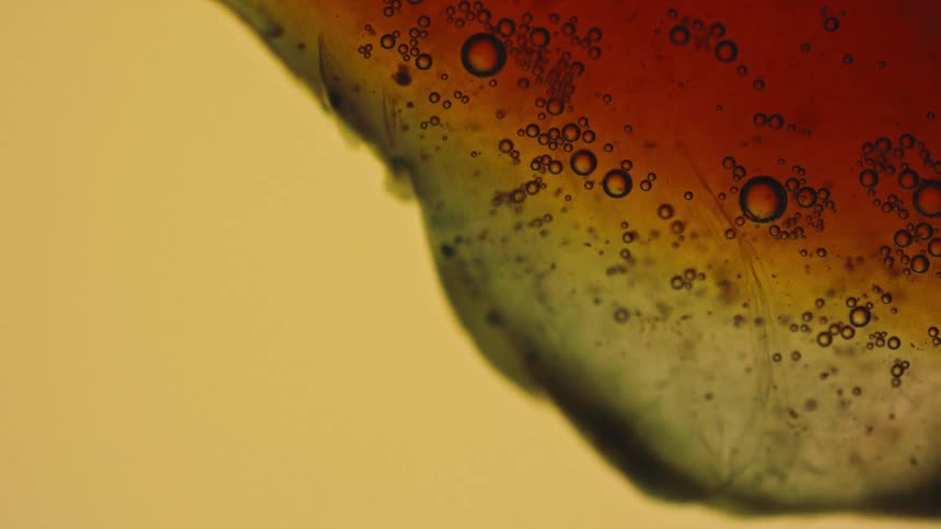 A macro abstract view of tiny gas bubbles floating and moving across a field of yellow and dark red liquids