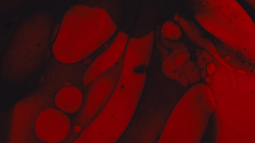 Abstract textures in red tones create organic and fluid patterns