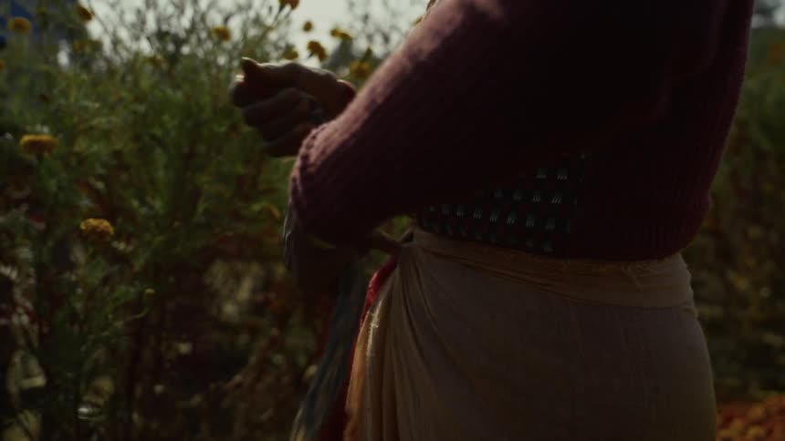 A woman stands in a farmland on a sunny day tying her robe as the light shines around her