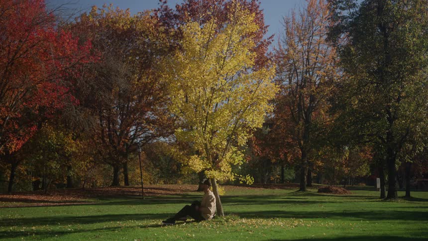 A colorful autumn park scene with trees displaying bright red and yellow foliage where a man wearing a light brown jacket walks into the frame sits down against the trunk of a bright yellow tree in the center and rests