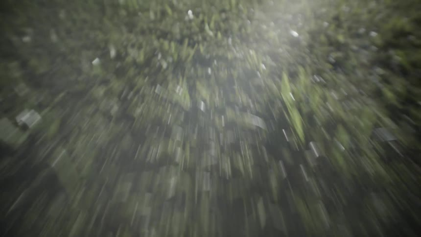 This video shows a dynamic closeup shot moving rapidly toward and then settling on a patch of green grassthe initial movement is a downward rush creating motion blur before the camera comes to rest providing a clear lowangle view of the wet bla