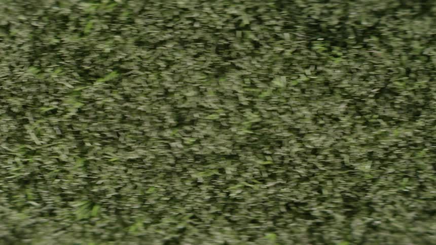 Textured green surface made of synthetic grass blades