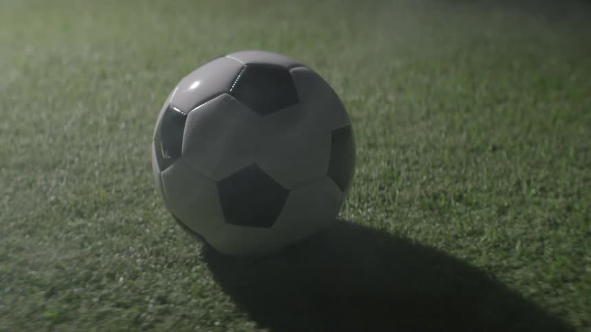 Black and white soccer ball resting on wellkept grass
