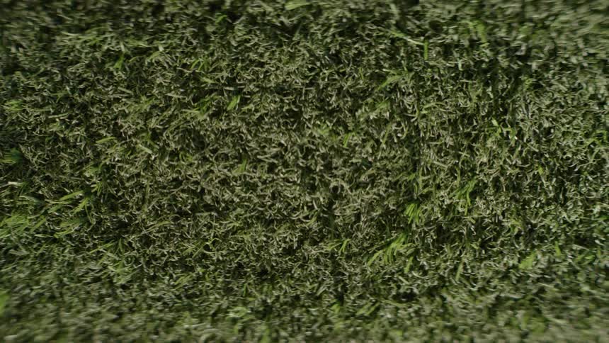 A view of some grass growing outdoors