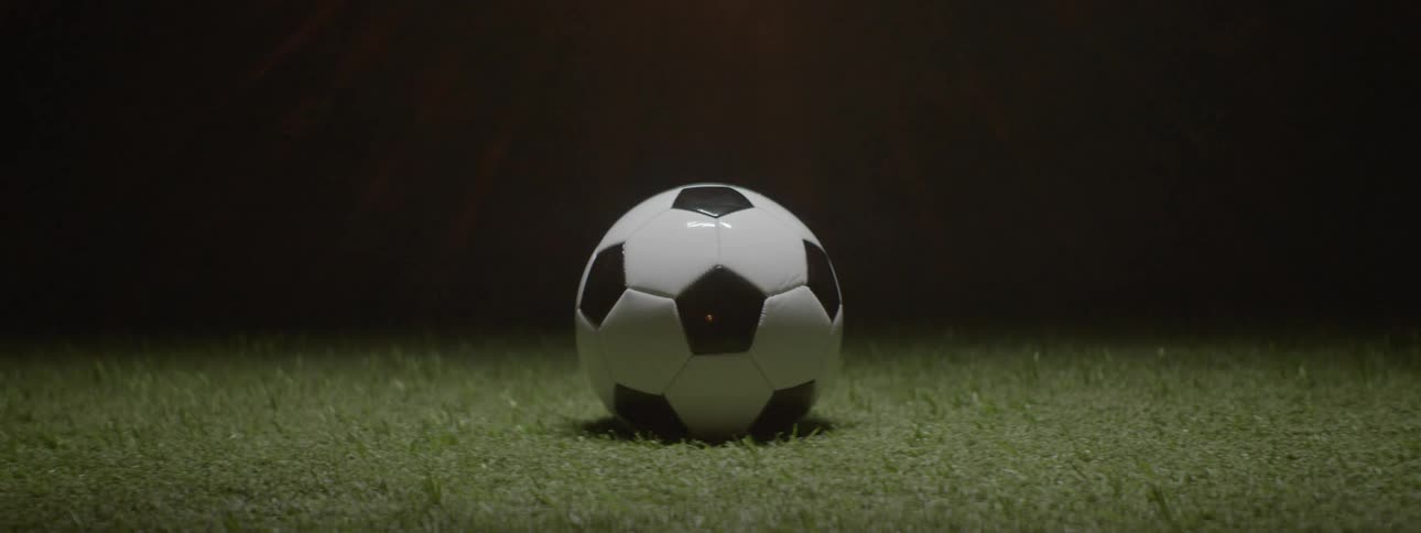 A soccer ball sitting on the grass