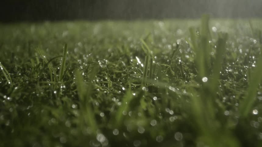 A lowangle tracking shot glides over lush green grass at night capturing heavy rain falling and glistening water droplets clinging to the blades