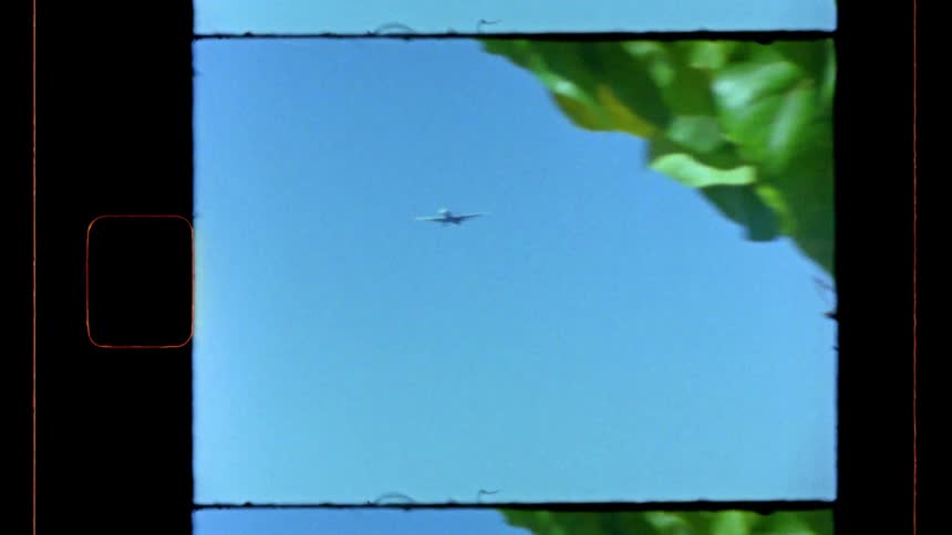 Commercial airplane with landing gear extended against clear blue sky with green leaves in foreground