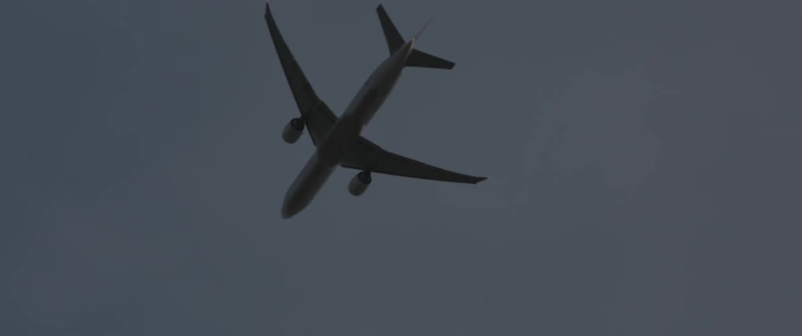 A plane flies overhead