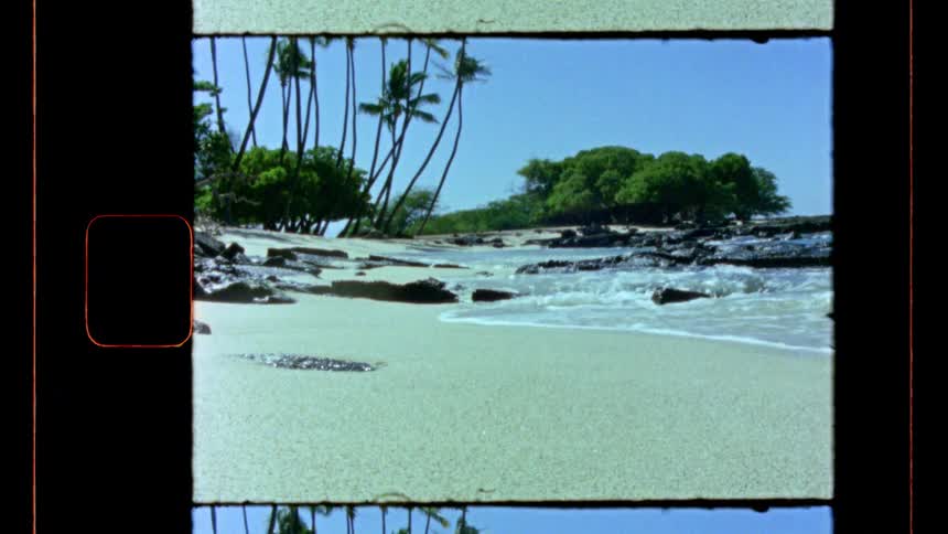 Waves gently lap the white sand of a tropical beach lined with swaying palm trees