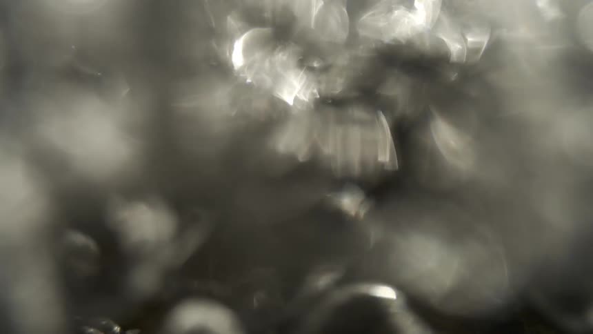Water bubbles are moving rapidly through a liquid