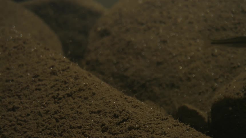 Small fish swims over the illuminated sandy bottom