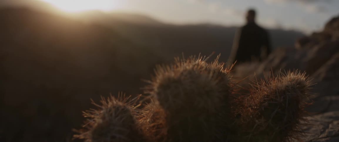 A man is standing in the desert at sunrise
