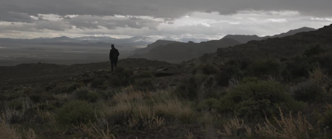 A man is standing on a windy field