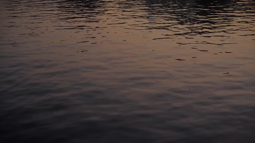 Golden ripples gently shimmer across the waters surface in tranquil light