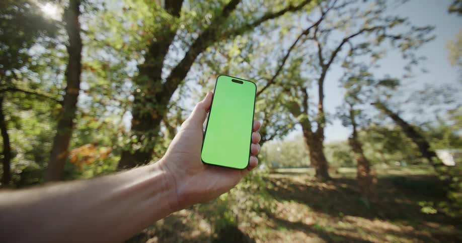 A hand holds a smartphone with a green screen against a backdrop of sunlit trees and green grass in a park setting