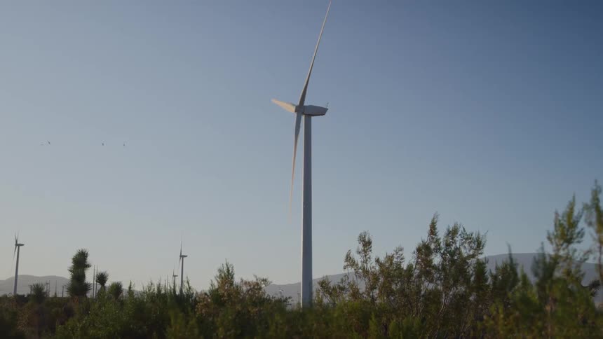 Turbines spin on a wind farm as plants move in the breeze