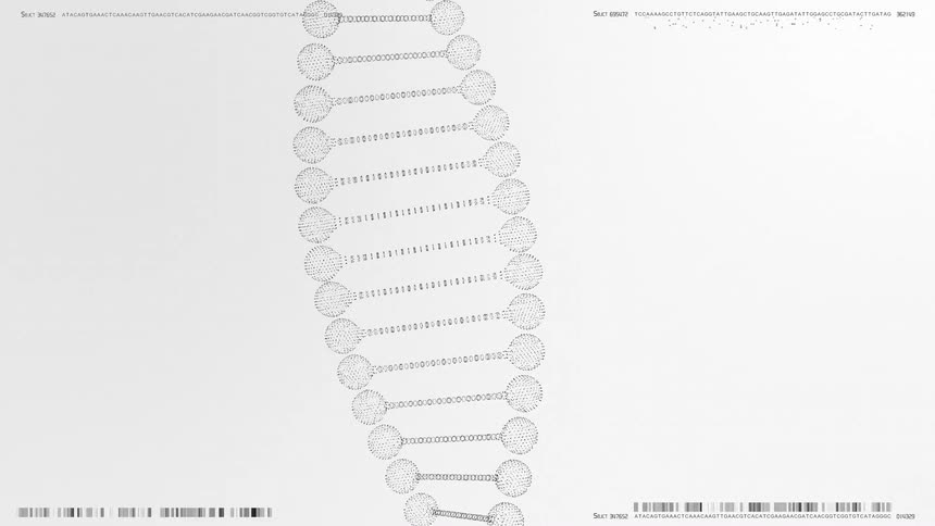 Minimalist visual sequence represents a stylized double helix in light tones
