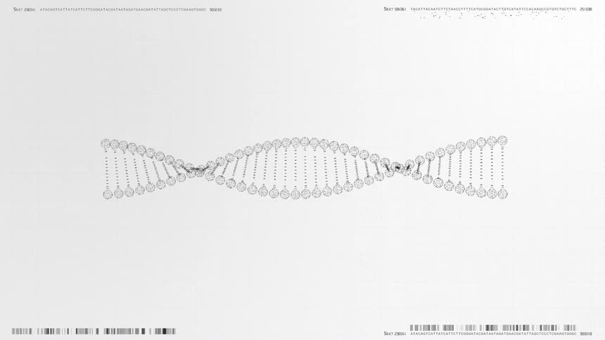 Double helix dna sequence on a light background