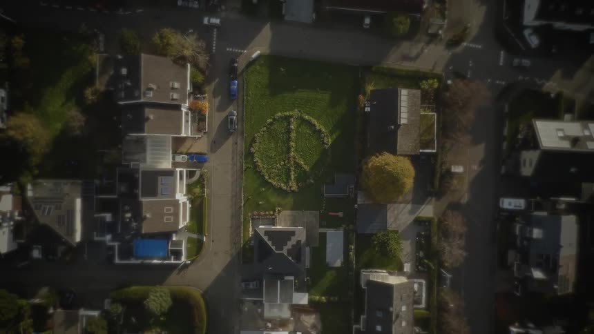 An overhead drone shot captures a densely packed residential neighborhood with a large bright green lawn at its center this lawn is marked by a huge clearly visible peace sign created by a different texture or color of material