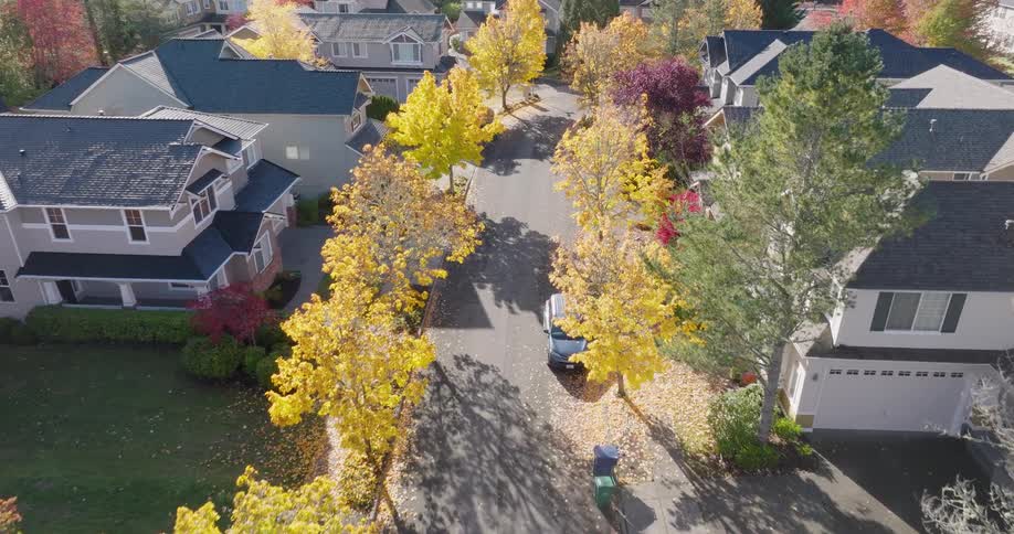Slow push at treetop height over a suburban street lined with houses and colorful autumn trees