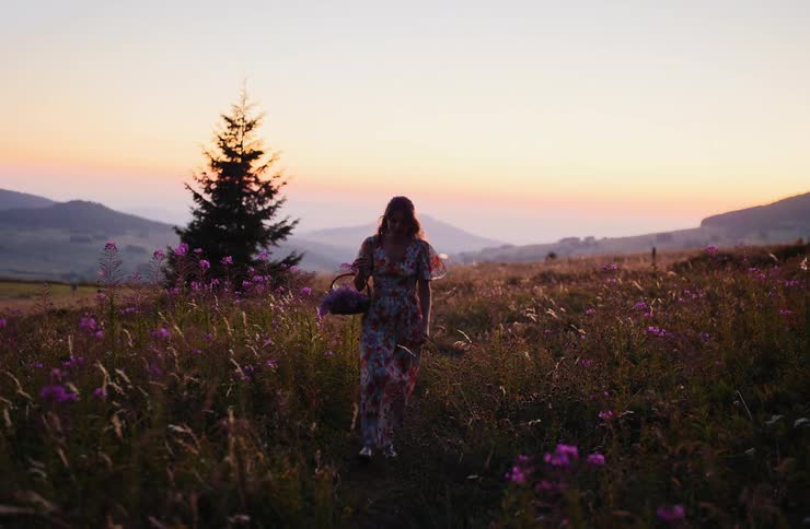 Woman walking through a flowered field at sunset carrying a basket