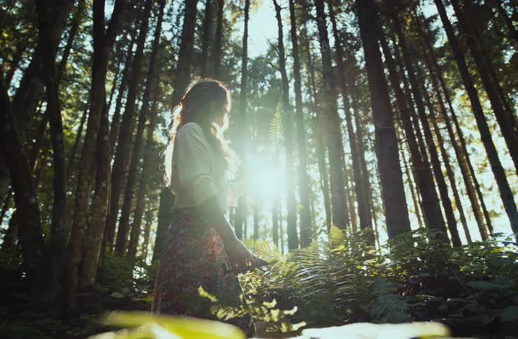 Woman holding a fern leaf in a forest area with sunlight in the background